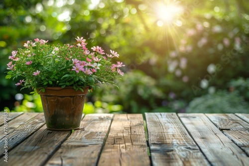 Potted pink flowers on a wooden table