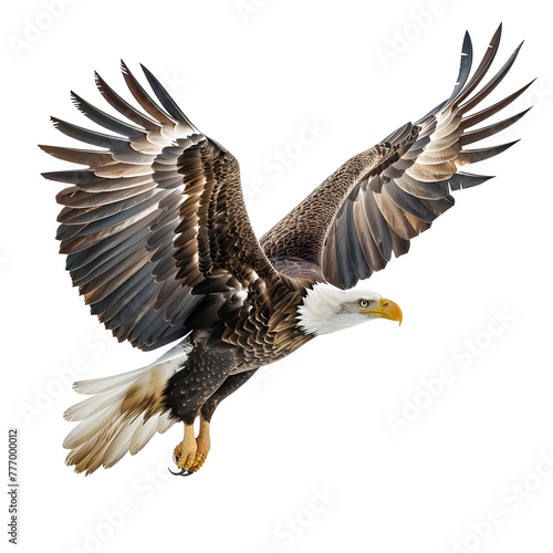 bald eagle in motion isolated white background