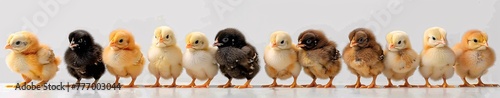 Chicks in a Row The Concept of Growth and Development Generative AI