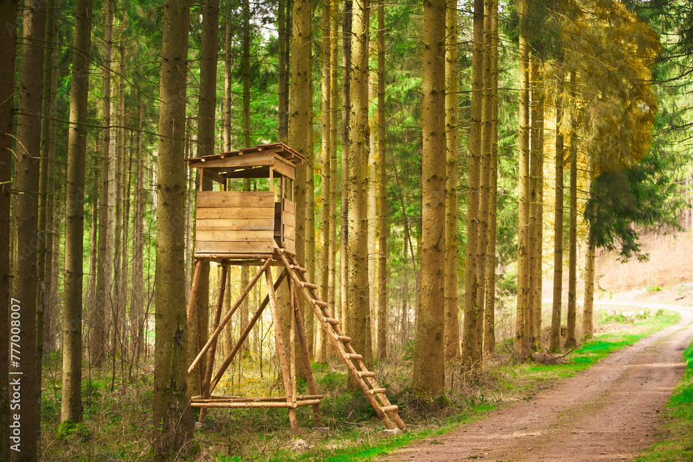 Hidden Watchtower: A Sentinel for Observing Forest Wildlife Hidden Watchtower: A Sentinel for Observing Forest Wildlife