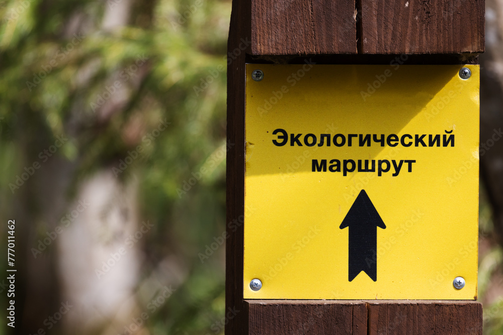 Yellow information board in the forest, trekking trail direction - obrazy, fototapety, plakaty 