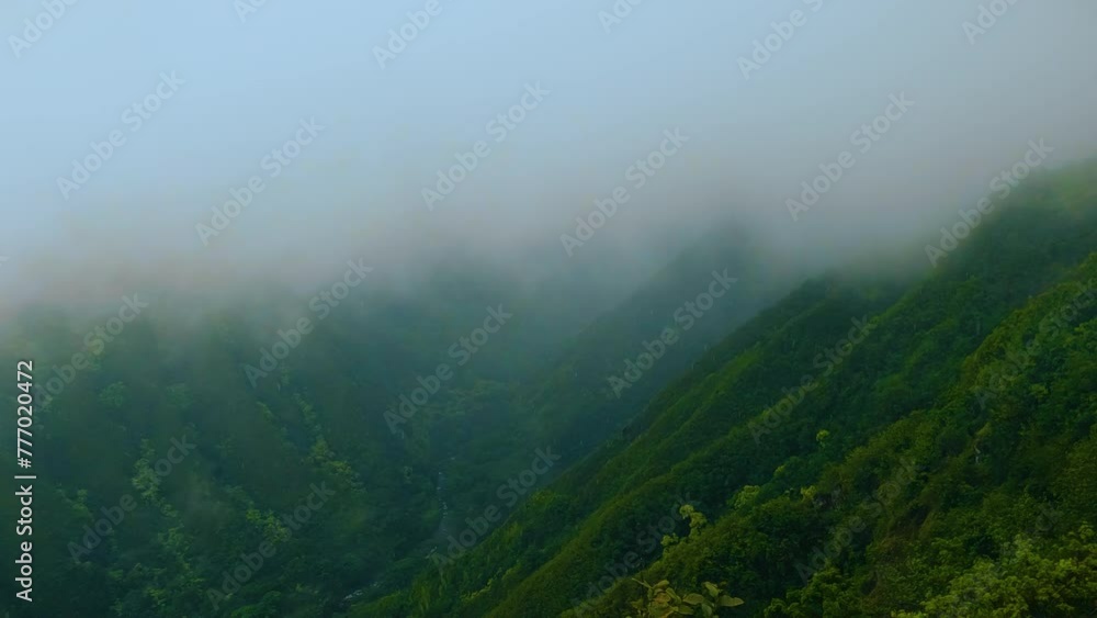 Panning shot of a green mountain valley on a rainy misty day. A view of Waihee Ridge Trail, Maui island, Hawaii, and ocean bay in thick fog. Panning shot of a green mountain valley on a rainy misty day. A view of Waihee Ridge Trail, Maui island, Hawaii, and ocean bay in thick fog.