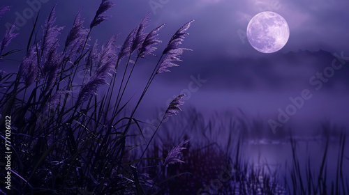 Deep purple hues engulf a moonlit meadow its grasses swaying in the gentle breeze as the full moon reflects in a nearby pond. . . photo