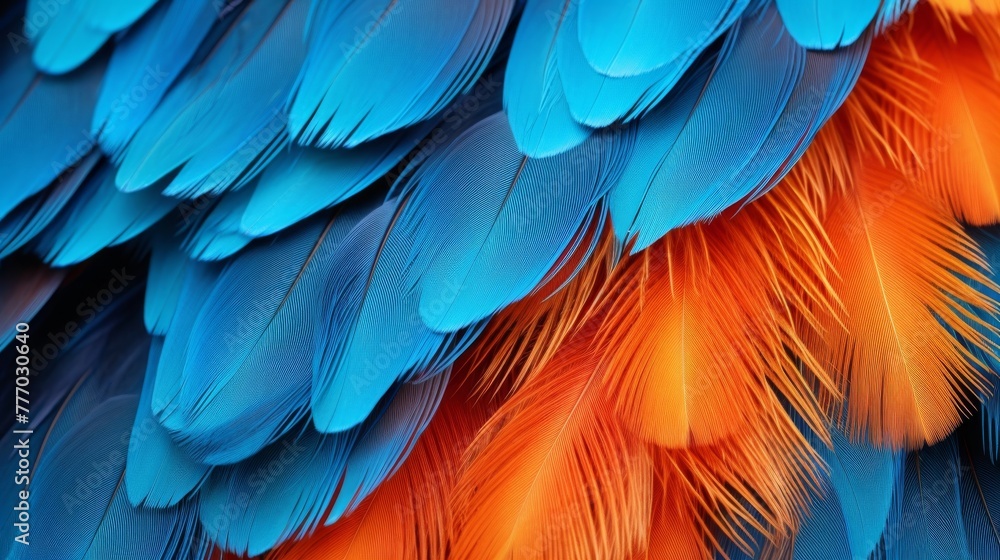 Obraz premium A close up of a birds feathers and plumage with different colors and patterns