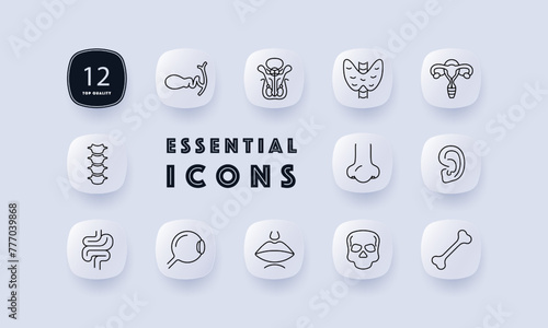 Organs set icon. Female reproductive organ, pelvis, skull, skeleton, bone, ear, intestinal tract, spine, vertebrae, eye, lips, mouth, nose, numbering. Self care concept. Neomorphism style.