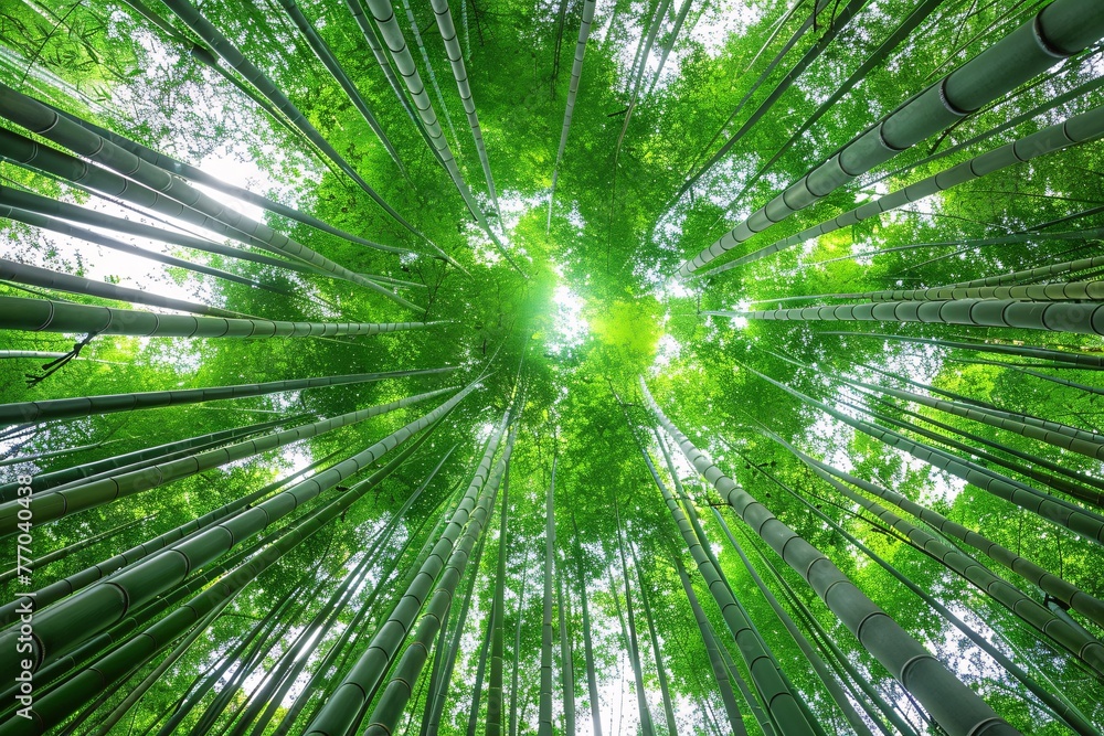 The Enchanted Forest A Journey Through the Bamboo Grove Generative AI The Enchanted Forest A Journey Through the Bamboo Grove Generative AI