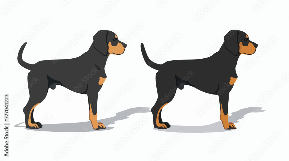 Original vector dog with shadow for various activities