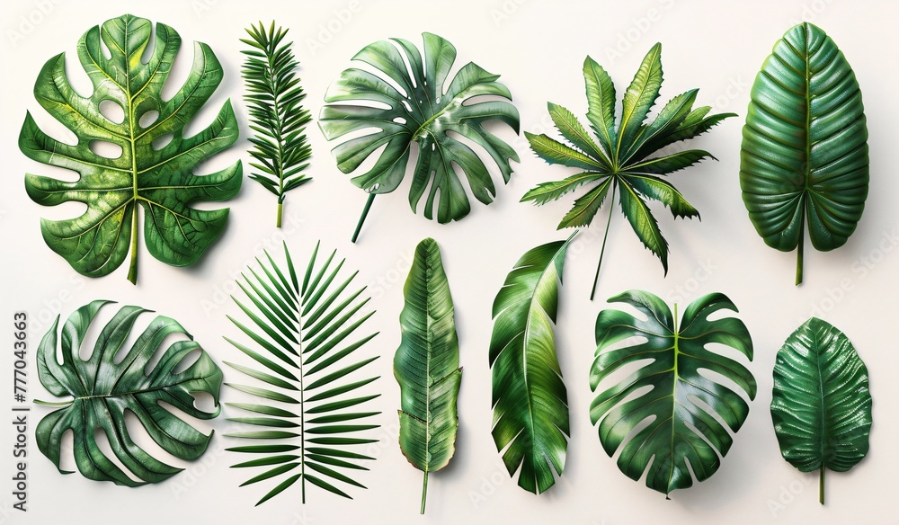 Tropical Leaves A Collection of Realistic Plant Illustrations Generative AI