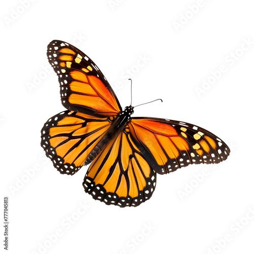 monarch butterfly in motion isolated white background © konstantin.bot
