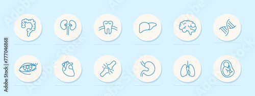 Organs set icon. Intestinal tract, stomach, liver, brain, lungs, embryo, DNA, tooth, eye, heart, eyelids, eyelashes. mesh, blue colors. Self care concept. Vector line icon.