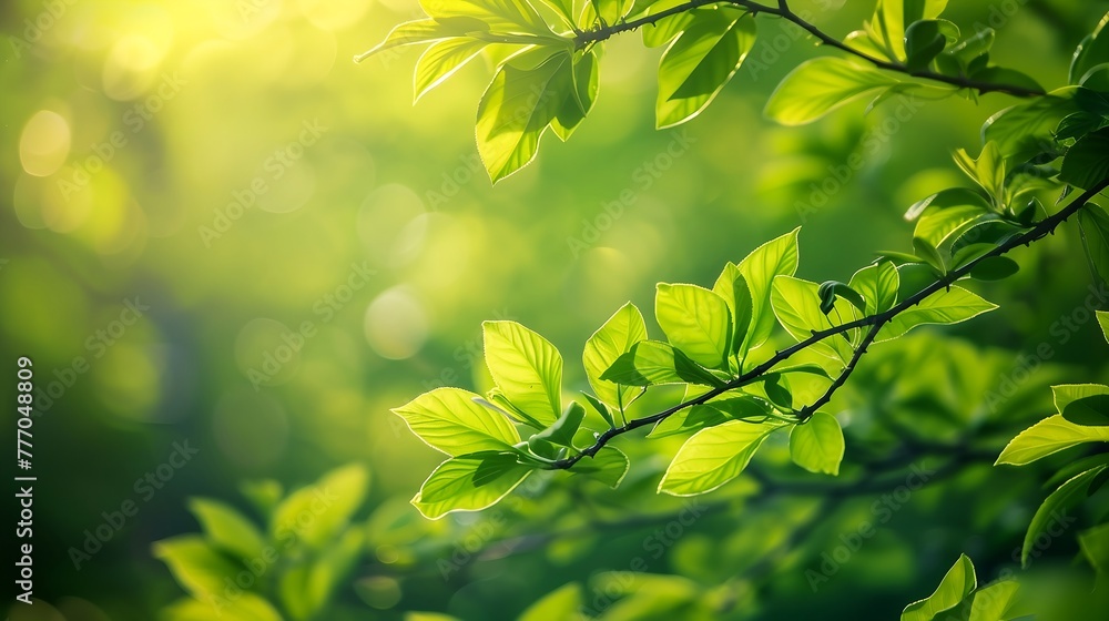 Spring background with green lush young foliage Spring background with green lush young foliage