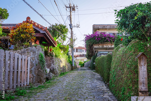 Wallpaper Mural シマシービラ 金城町石畳道（沖縄県那覇市） Torontodigital.ca