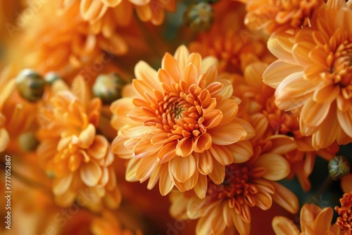 Fall Decor with Orange Mums - Decorative Chrysanthemums for Autumnal Decoration and Mother s Day