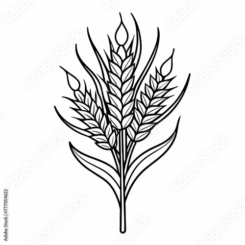 Captivating Barley Line Art Illustration for Your Creative Projects