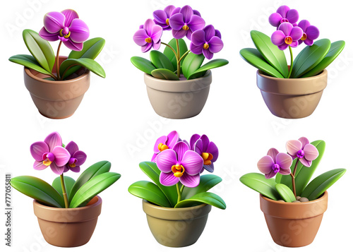Realistic Icon Object Flower orchid. PNG transparent image  AI generative