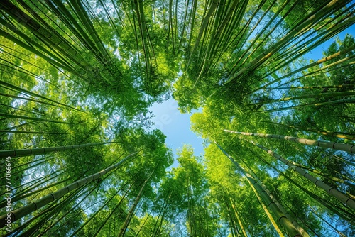 The Canopy of Life A Journey Through the Bamboo Forest Generative AI