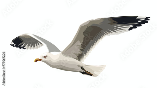 Cartoon flying seagull isolated on white background