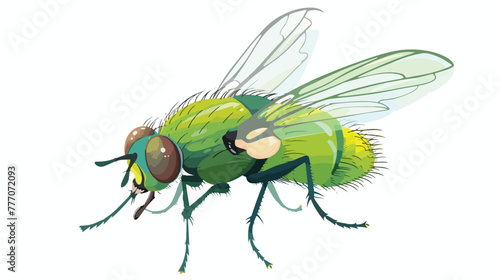 Cartoon green fly flat vector isolated on white background
