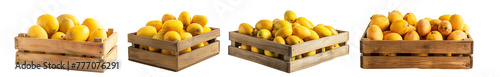 Set of open Wooden box of fresh yellow mangoes isolated on white background