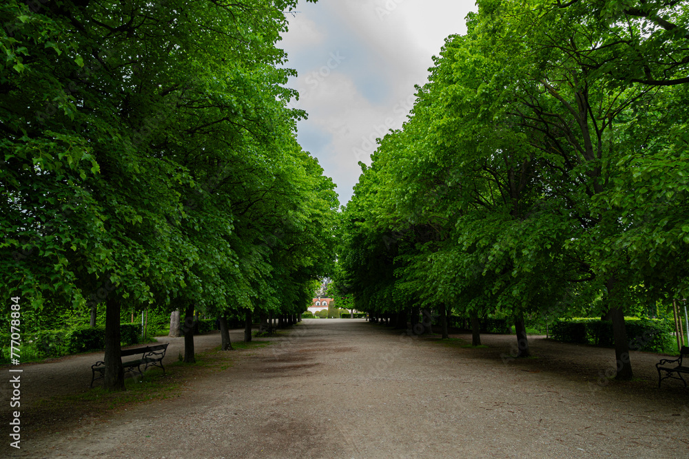Walkway in the park with lush greenery in the springtime. Landscape background and wallpaper. Walkway in the park with lush greenery in the springtime. Landscape background and wallpaper.