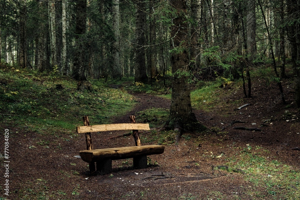 Old Empty Bench Autumn Forest Loneliness Concept Old Empty Bench Autumn Forest Loneliness Concept