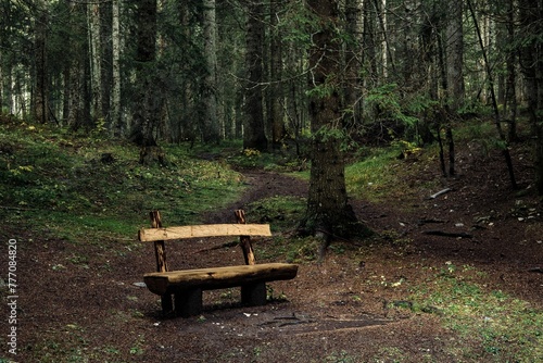 Old Empty Bench Autumn Forest Loneliness Concept