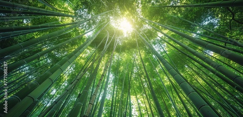 The Enchanted Forest A Journey Through the Bamboo Grove Generative AI