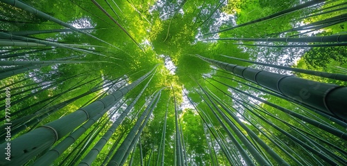 The Canopy of Bamboo A Symphony of Nature's Architecture Generative AI