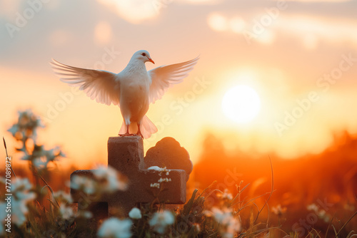 White dove with spread wings standing over the holy cross of Jesus Christ symbolize death and resurrection beautiful sunset landscape.