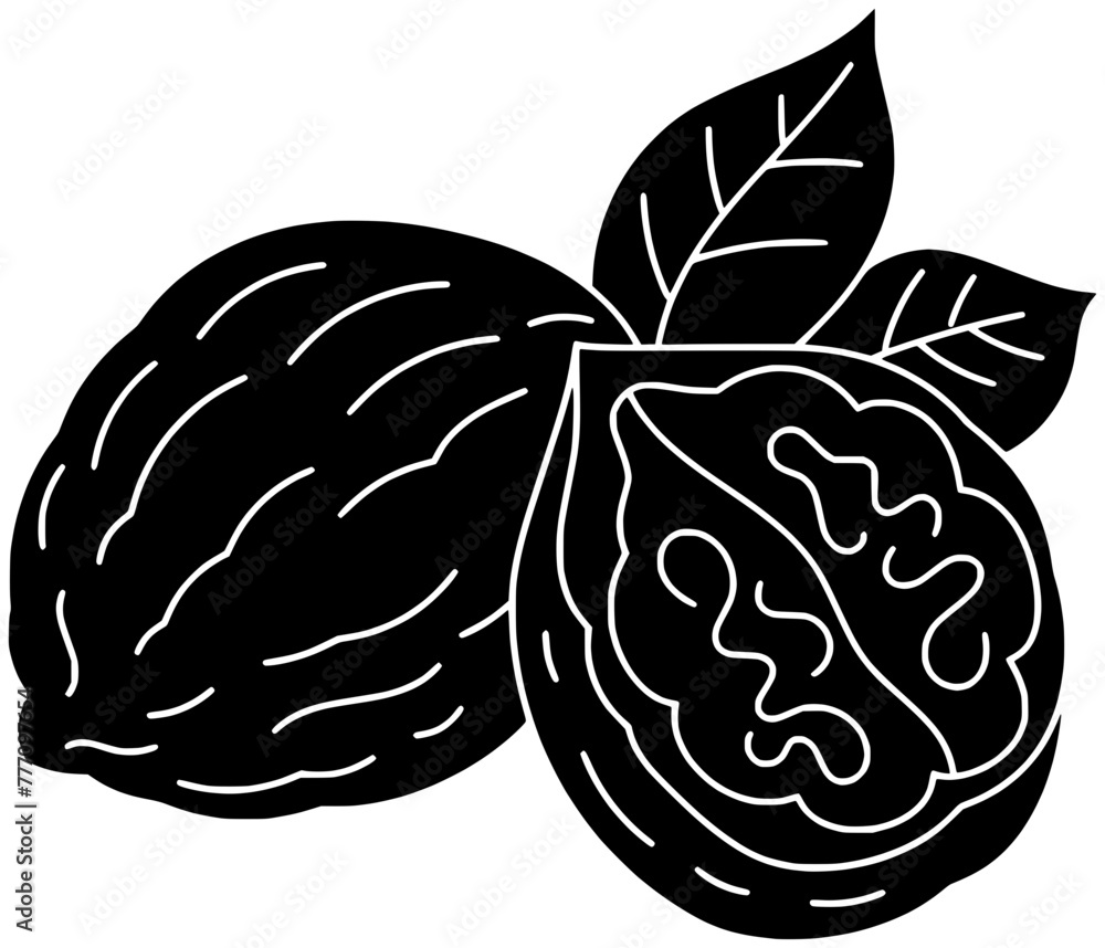 walnut illustration hazelnut silhouette pecan logo nut icon healthy outline cashew food seed leaf almond branch snack tree leaves shape plant pistachio diet for vector graphic background walnut illustration hazelnut silhouette pecan logo nut icon healthy outline cashew food seed leaf almond branch snack tree leaves shape plant pistachio diet for vector graphic background