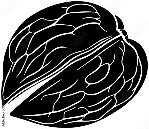 walnut illustration hazelnut silhouette pecan logo nut icon healthy outline cashew food seed leaf almond branch snack tree leaves shape plant pistachio diet for vector graphic background