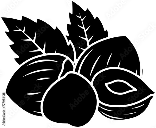 walnut illustration hazelnut silhouette pecan logo nut icon healthy outline cashew food seed leaf almond branch snack tree leaves shape plant pistachio diet for vector graphic background