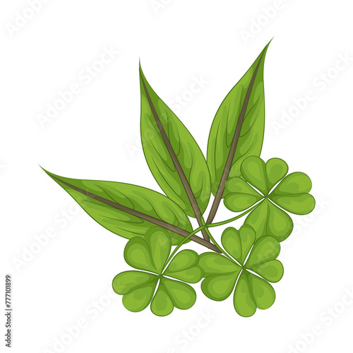 Illustration of leaf 
