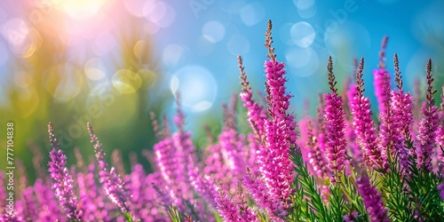 Blossoming Serenity A Field of Purple Flowers Generative AI © Satyam