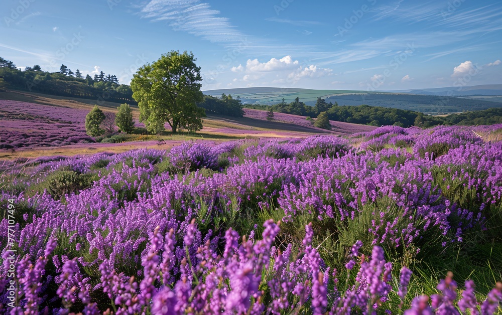 Purple Pastures A Field of Lavender Amidst a Rural Landscape Generative AI