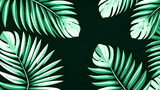 simple green palm leaves on a  dark background vector illustration