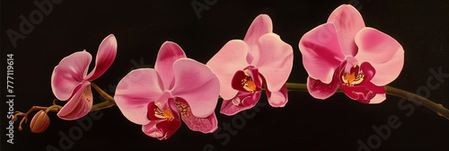 pink orchid acrylic painting with golden paint elements on black background.  poster on the wall in modern minimalist  living room interior