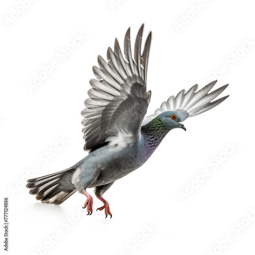 Grey pigeon on flight isolated on white background сreated with Generative Ai