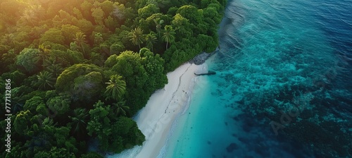 Tranquil aerial view of maldives island beach with palm trees on white sandy shore