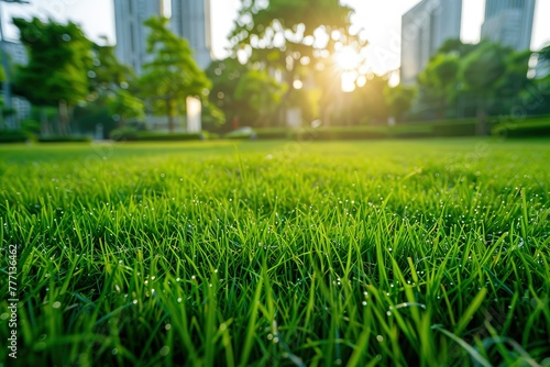 A large green field with a bright sun shining on it. The sun is in the background and the grass is lush and green