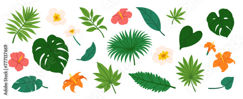 Tropical leaves. Cartoon jungle exotic palm plants and flowers. Banana, philodendron, plumeria, monstera leaf isolated on white background. Floral elements. Vector collection © Foxy Fox