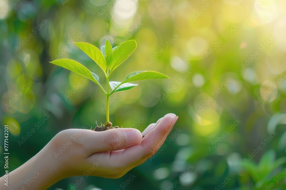 hand holding young plant on blur green nature background. concept eco earth day hand holding young plant on blur green nature background. concept eco earth day