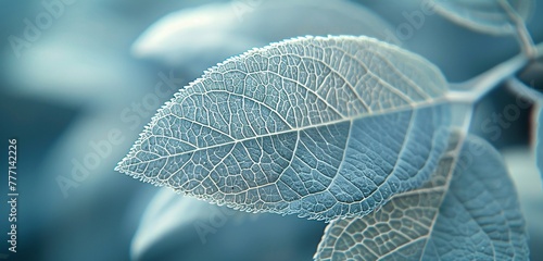 The Veins of Nature A Close-up Study of Leaf Texture and Pattern Generative AI