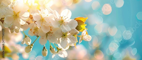 Whispers of Spring: Delicate White Blossoms Embrace the Blue Sky - Generative AI