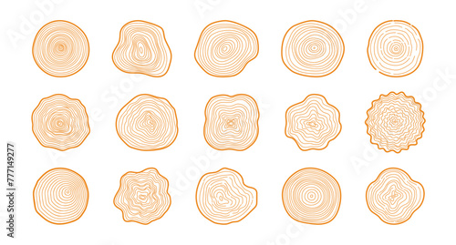 Tree rings. Hand drawn wood slice texture. Abstract tree age year circle. Line wooden circular ripple, nature timber, fractal stump. Organic trees material. Vector set