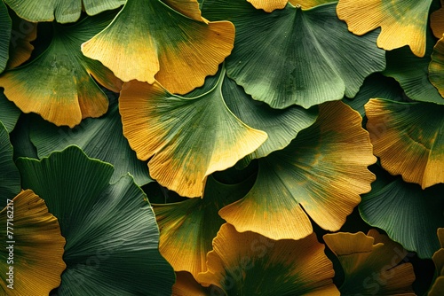 Vibrant Nature A Close-up of Yellow and Green Leaves Generative AI