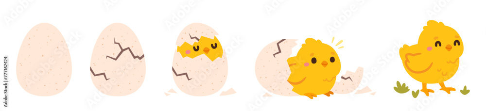 Obraz premium Chicken hatching. Easter cute chick hatched, cracked shell egg. Newborn bird from egg step-by-step process. Domestic hens baby in nest. Farm birds. Vector concept