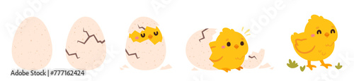 Chicken hatching. Easter cute chick hatched, cracked shell egg. Newborn bird from egg step-by-step process. Domestic hens baby in nest. Farm birds. Vector concept
