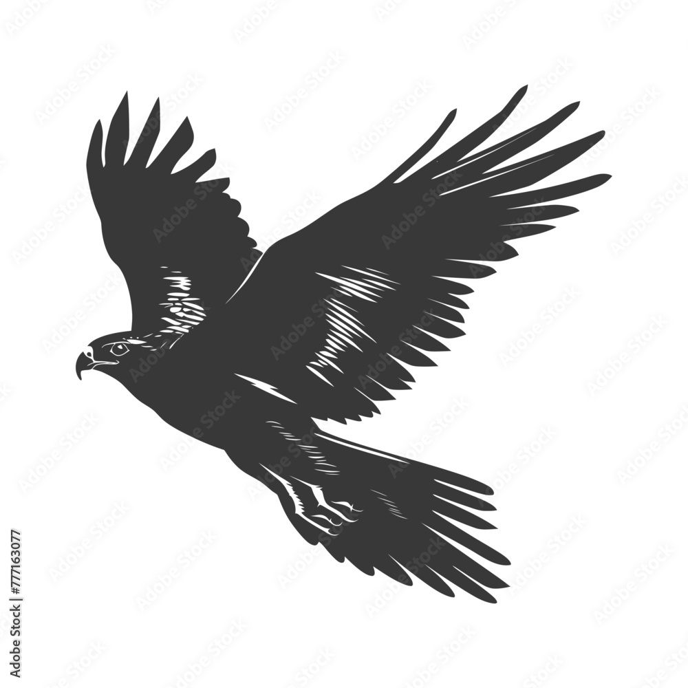 Obraz premium Silhouette hawk animal fly black color only full body