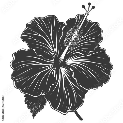 Silhouette hibiscus flower black color only